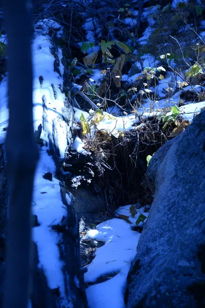 DSC_5052 (Large).JPG